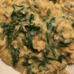 Vegan-Gluten Free Alfredo 